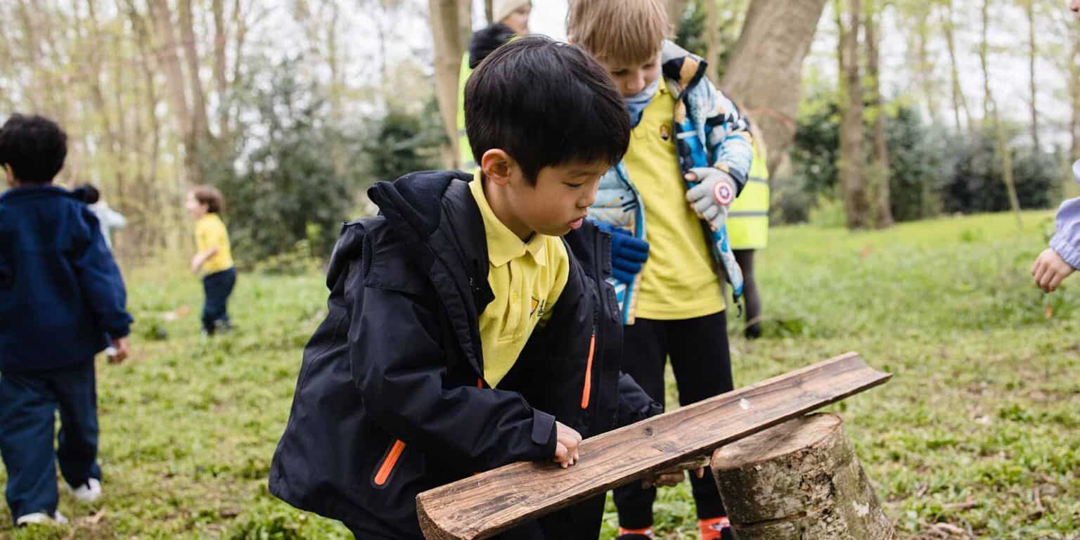 孩子们在学校自然行活动中进行户外探索,与环境亲密接触。.