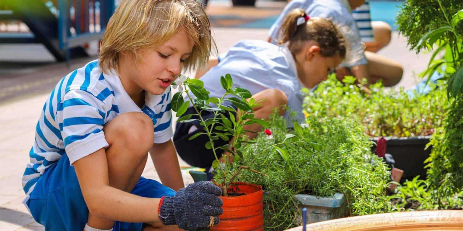 Young children planting and caring for greenery in outdoor school garden for environmental learning.