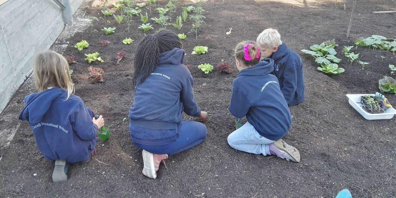 Children gardening with school uniforms at an international school, promoting eco-learning and environmental awareness.
