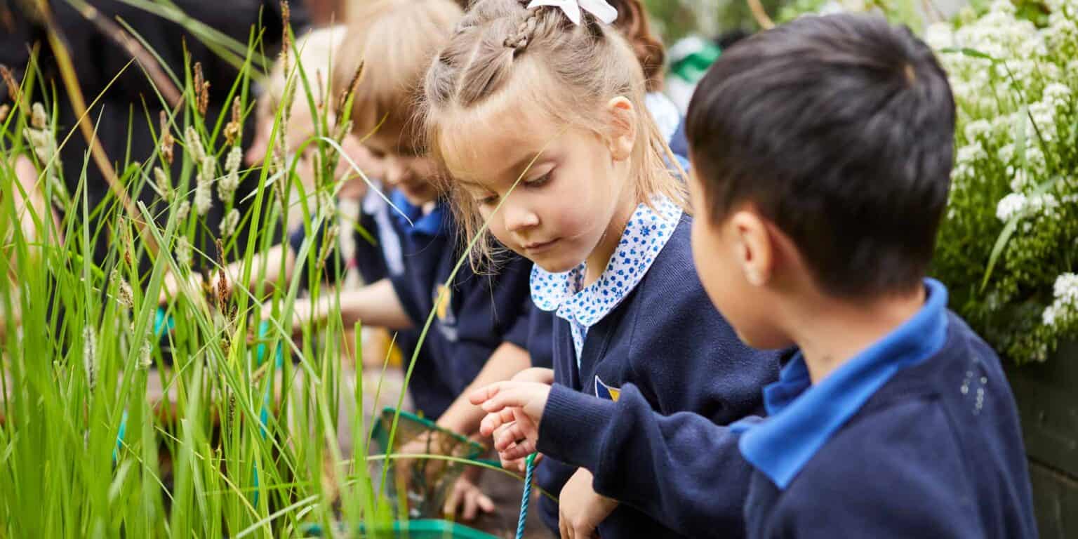 Children engaging in outdoor learning activities at a school garden for early childhood education.