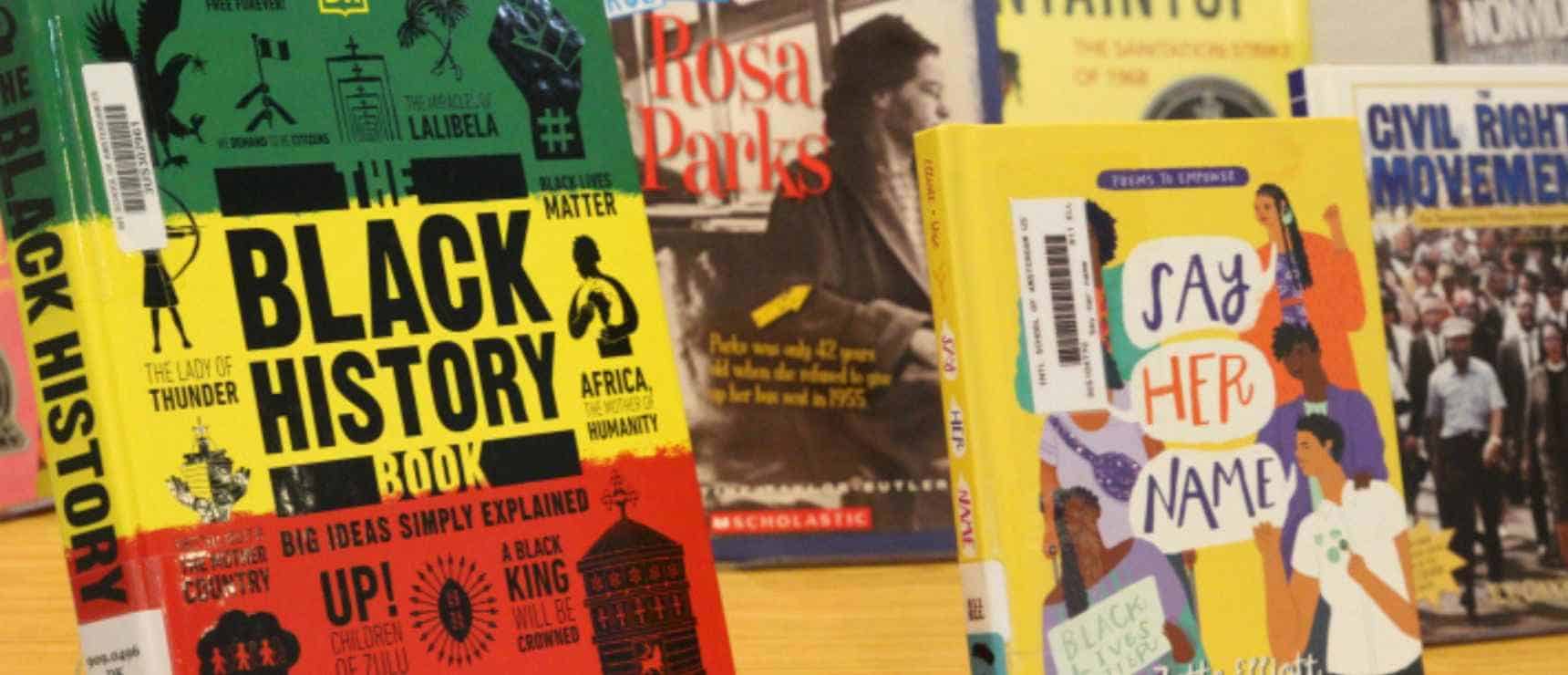1. Diverse children's books on history, civil rights, and social justice at World Schools.