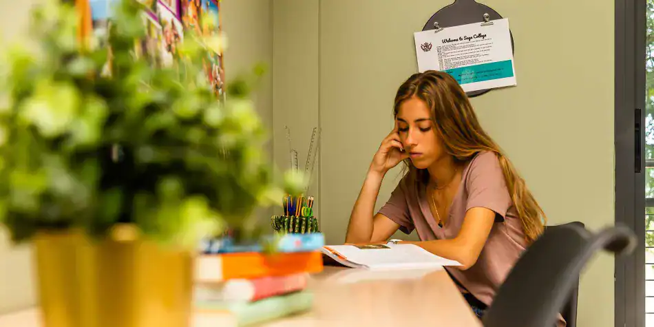 Focused student studying at a world school, enhancing global education opportunities for students.