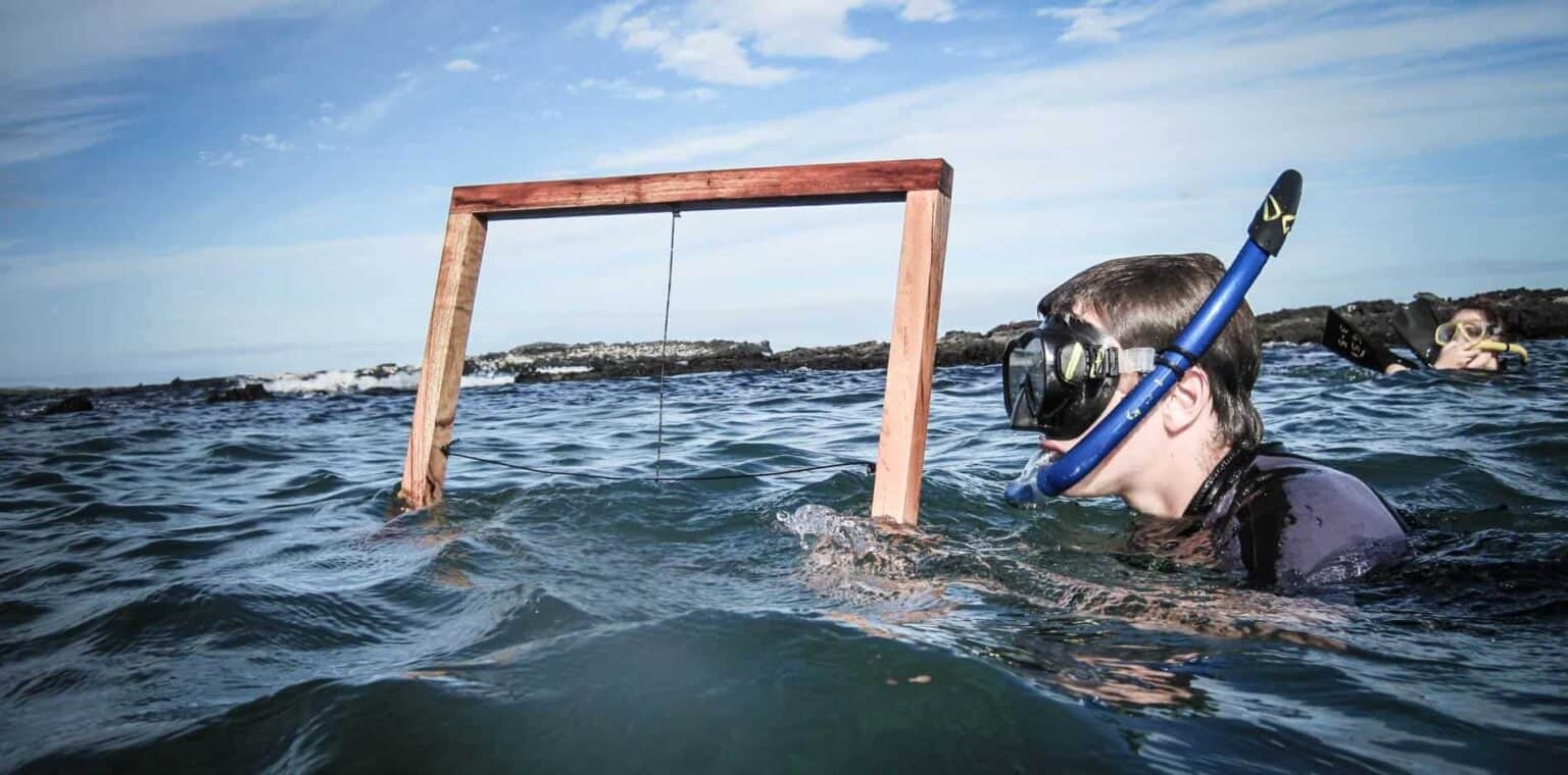 Colorful underwater exploration with students learning scuba diving at a World Schools program.