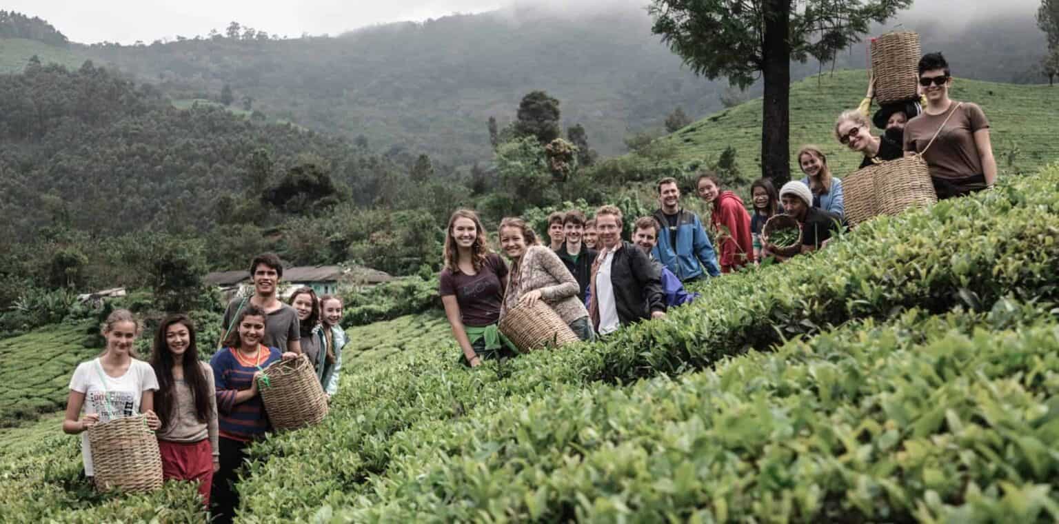 Students exploring tea plantations in a scenic mountain landscape for school educational trips.