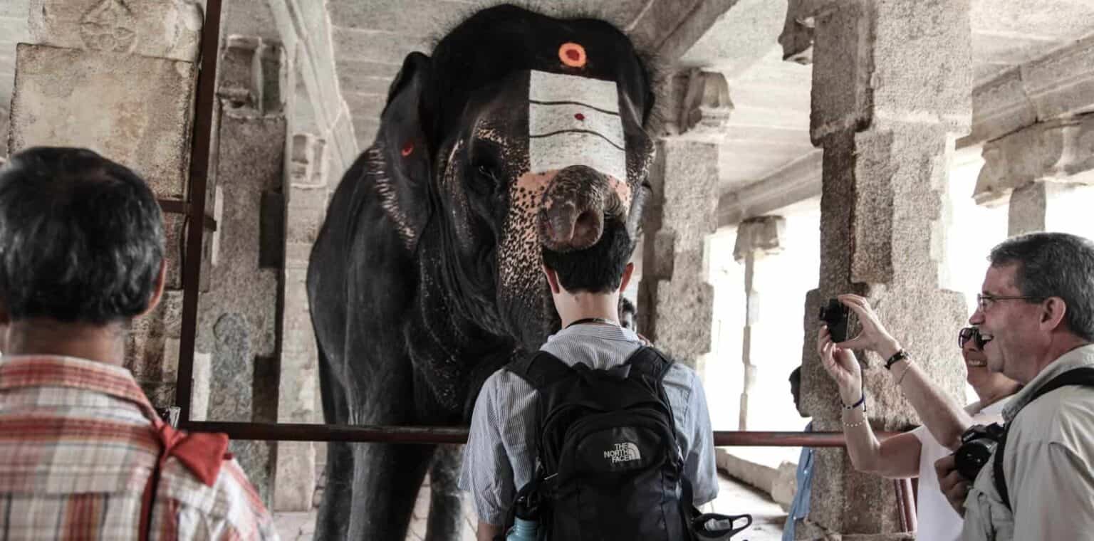 Elephant interacting with visitors at a historical site, capturing interest in cultural heritage and nature conservation.
