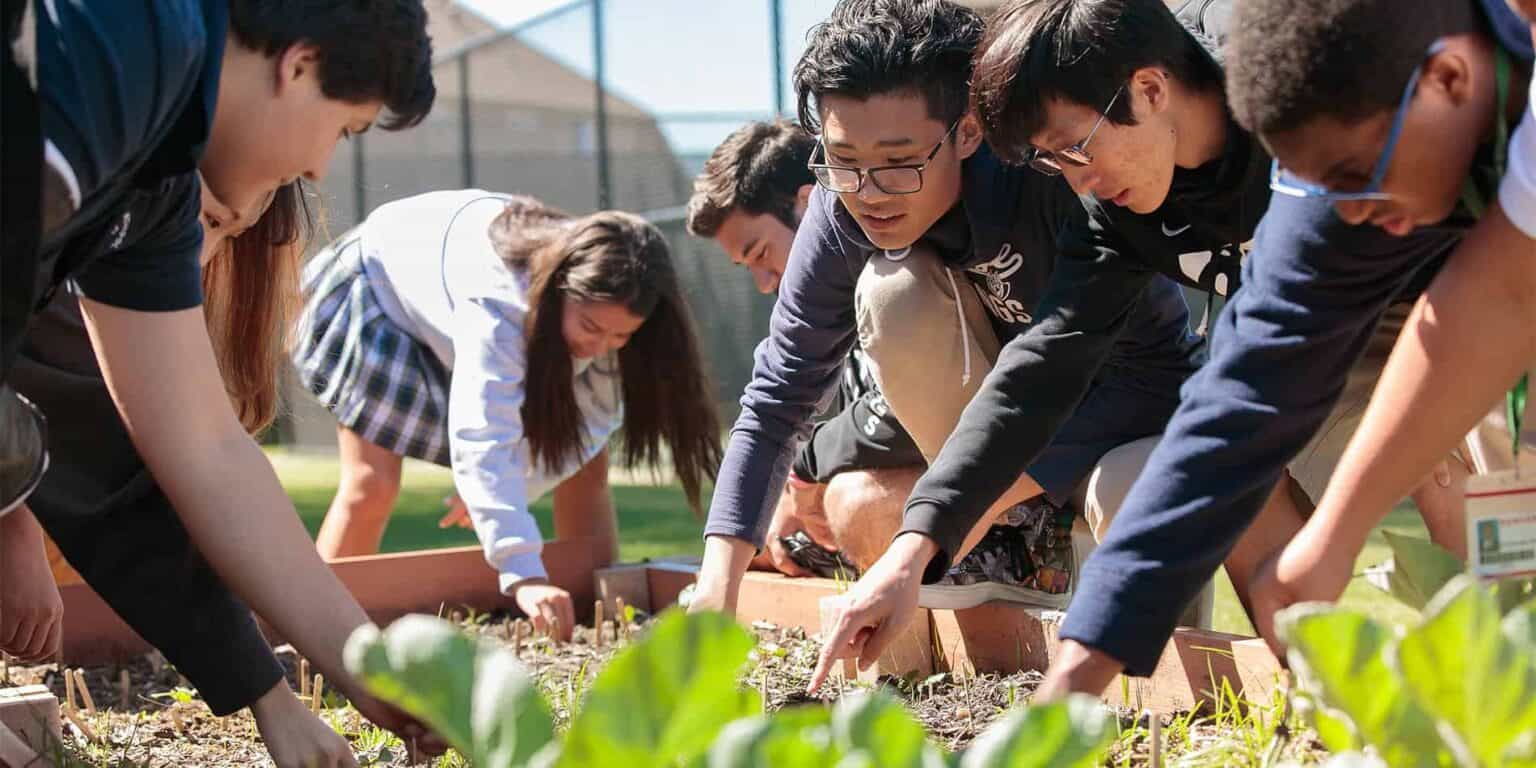Students planting seedlings in a school garden for environmental education and sustainability.