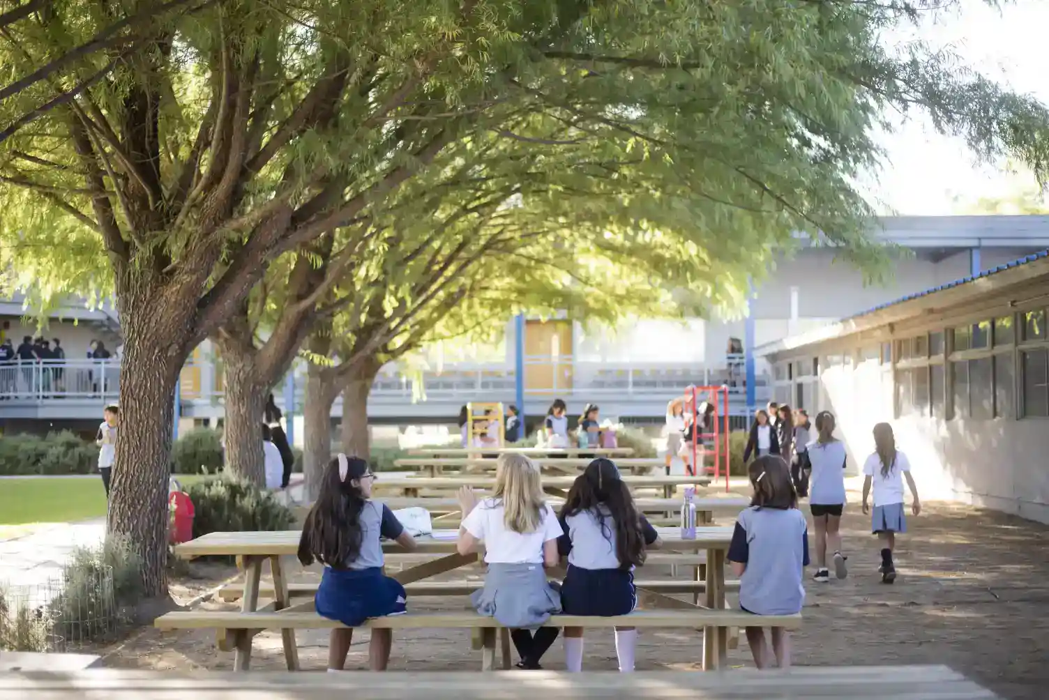 屋外の校庭では、生徒たちが木の下で勉強したり遊んだりして、積極的な学習環境を促進している。.