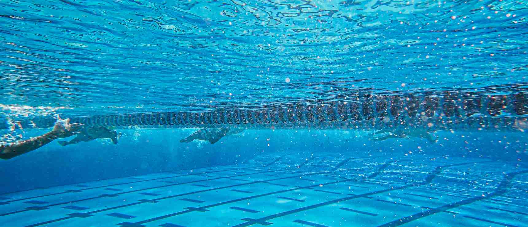 BISP Swimmers Shine on the International Stage this Summer