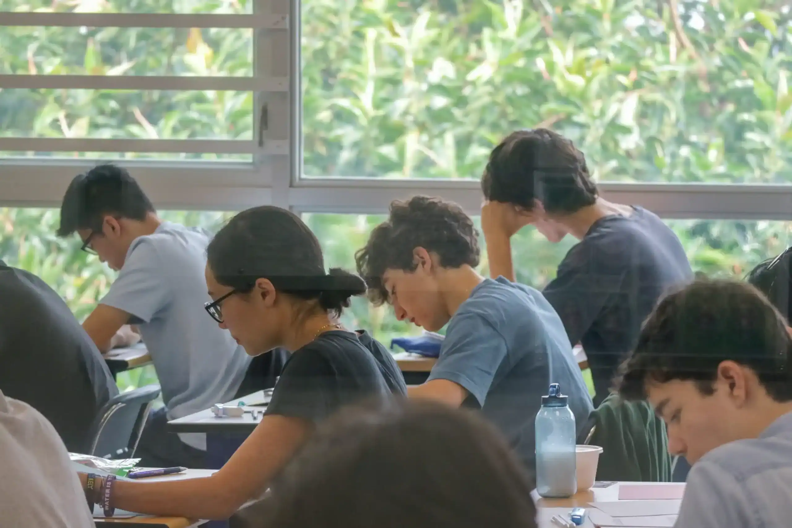 Alumnos centrados en el estudio en un entorno escolar verde al aire libre, haciendo hincapié en la educación global y la excelencia académica.