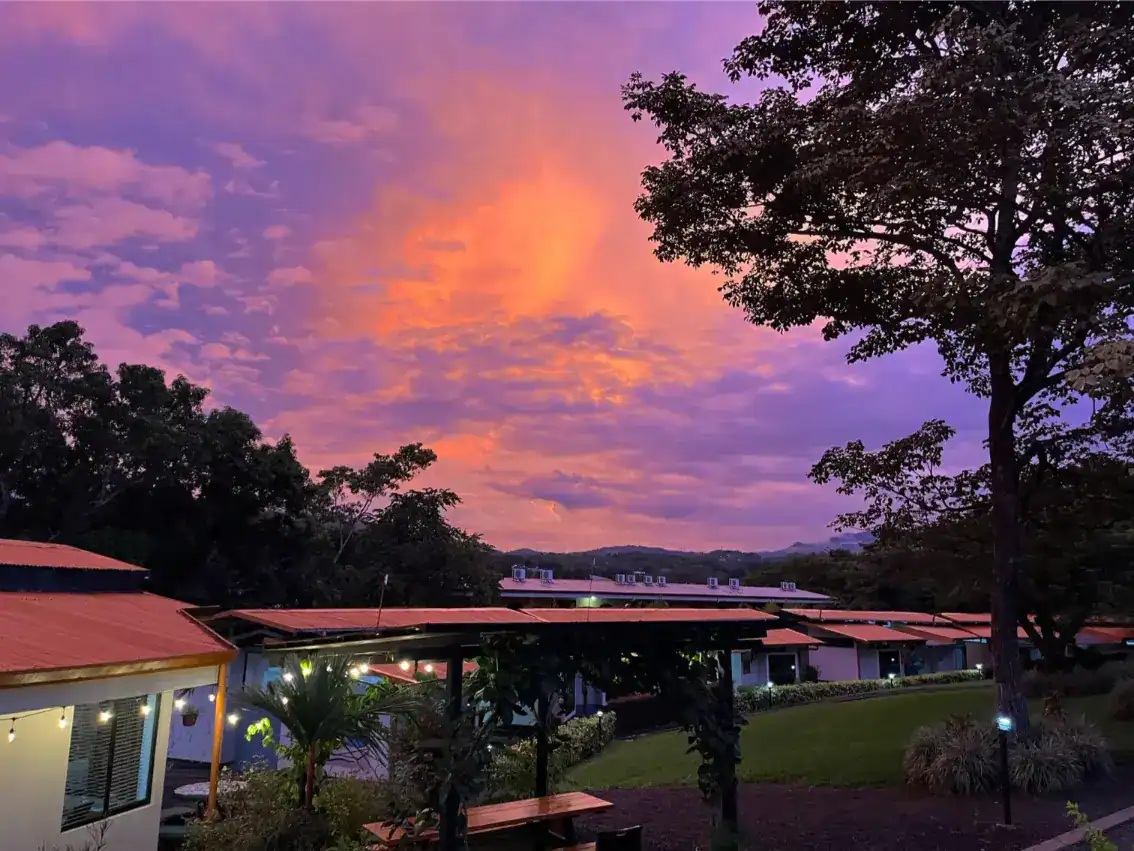 Vibrant sunset sky over modern school campus with lush greenery and peaceful atmosphere.