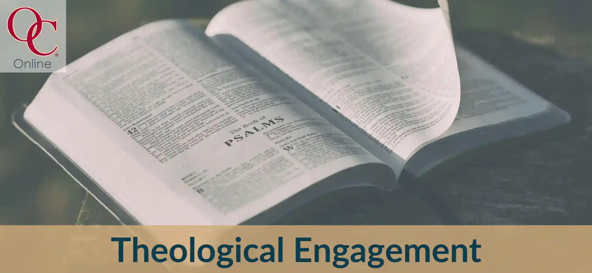 Bible open to Psalms for religious education and spiritual growth.