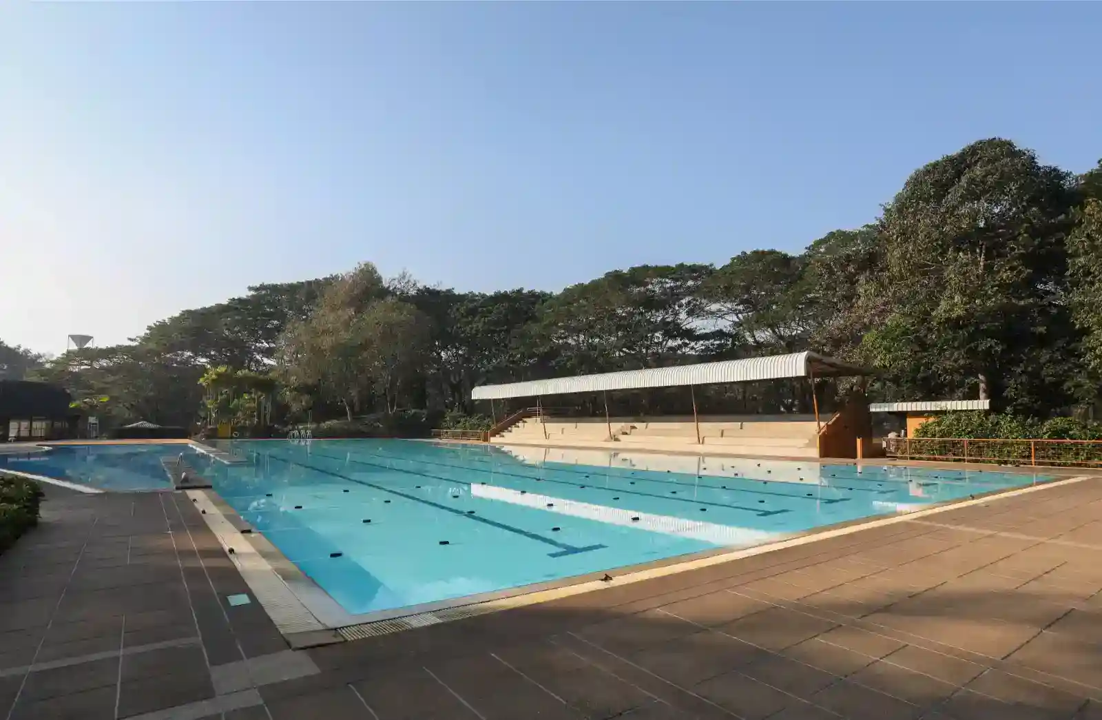 Modern outdoor swimming pool at an international school with lush greenery, ideal for sports and recreation.