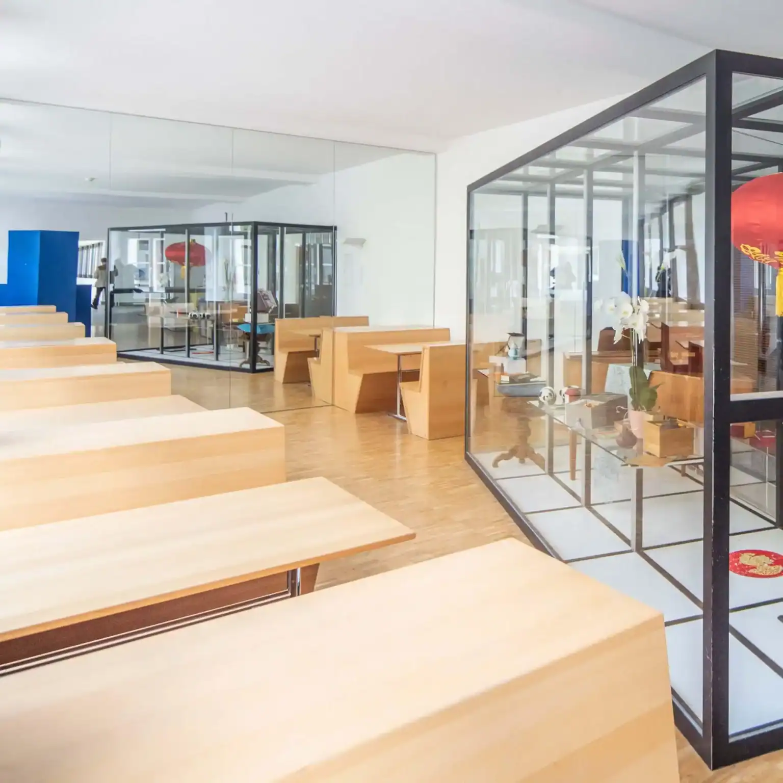 Modern international school interior with glass-enclosed classrooms and wooden furniture.