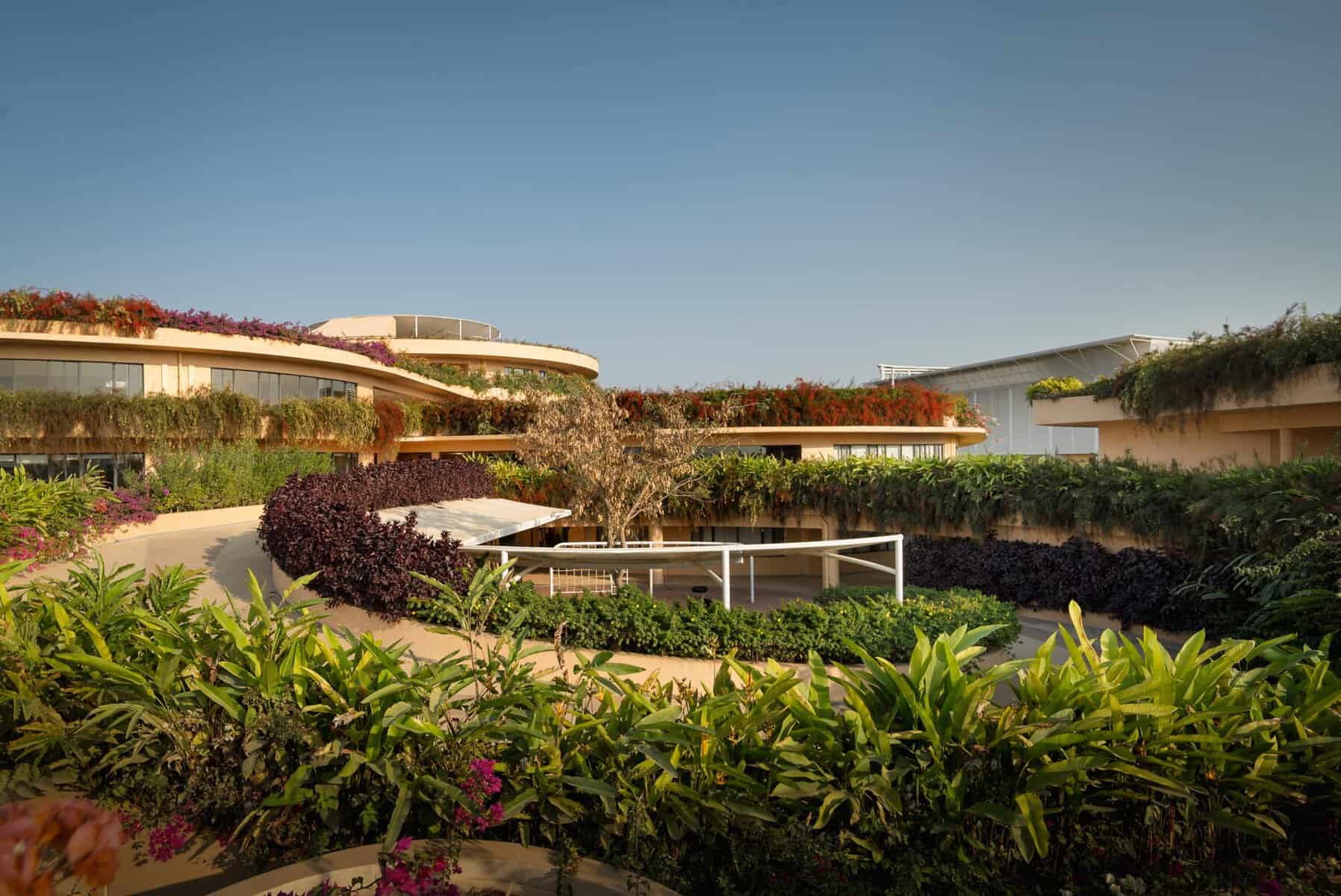 The School of Raya – International School