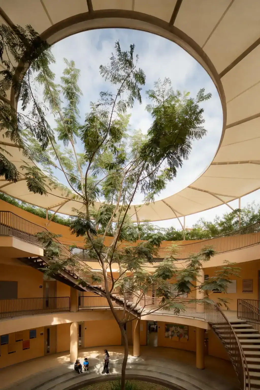 A lush tree growing inside a modern, circular educational building with an open roof.