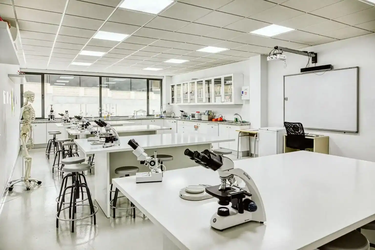 Modern science laboratory in a world school science classroom, equipped with microscopes and lab furniture.