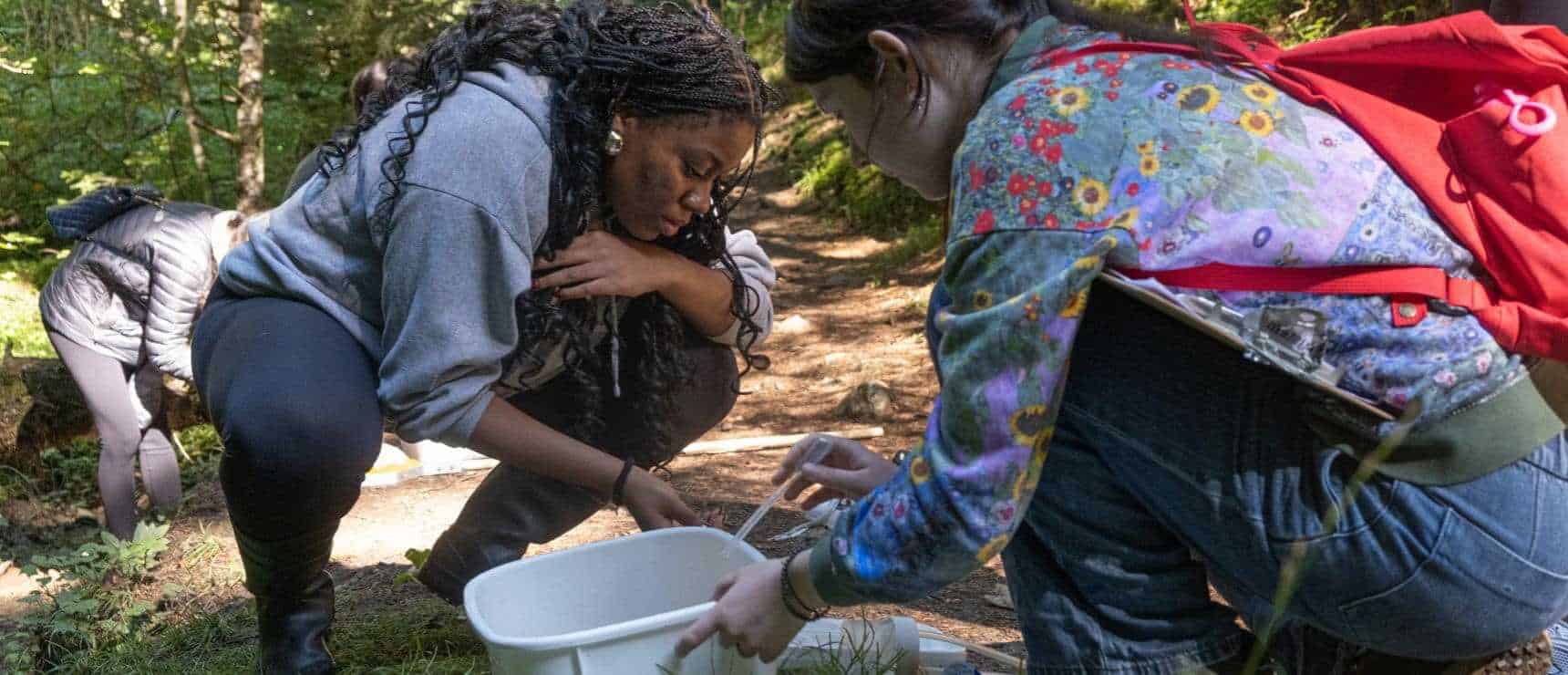 IB Science Field Trip: LAS Students Investigate Leysin’s Ecosystems