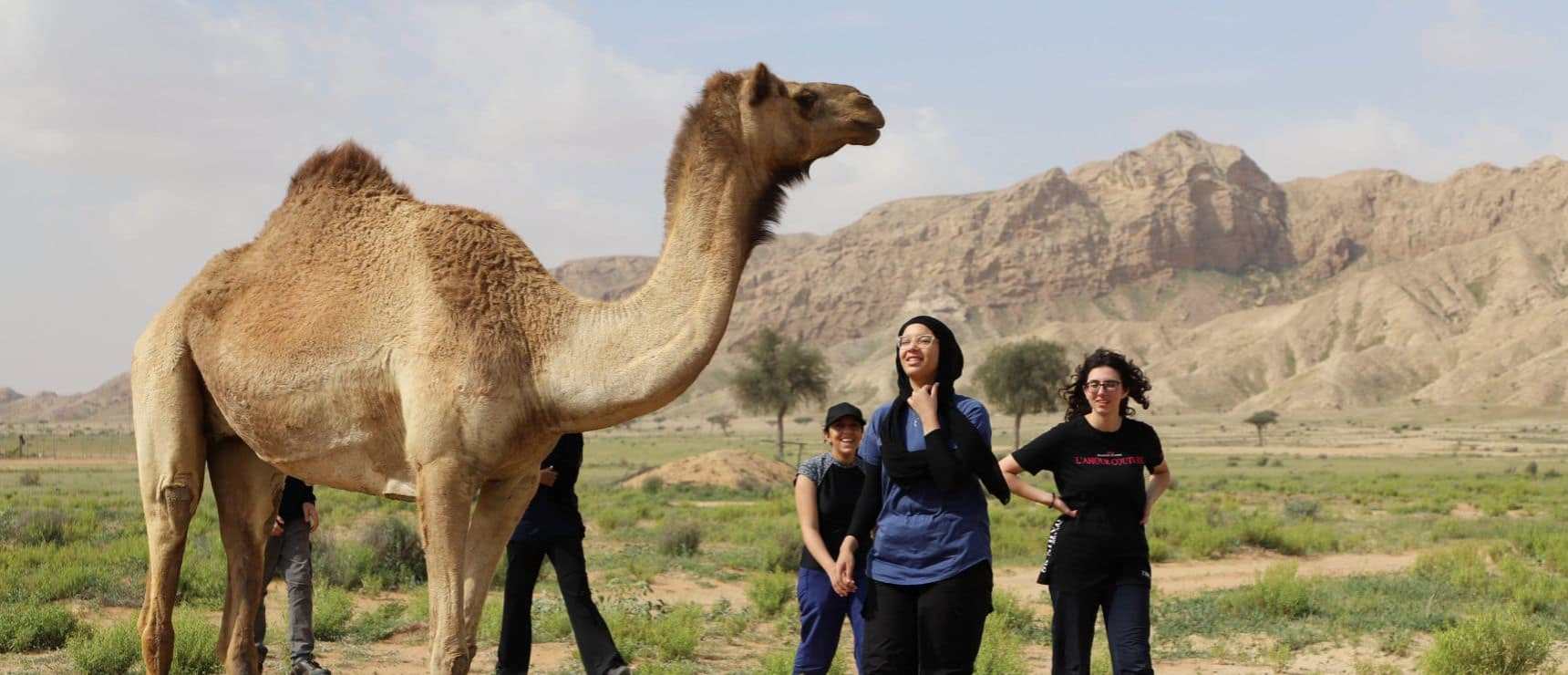 Exploring the World Beyond: The Transformative Power of School Trips