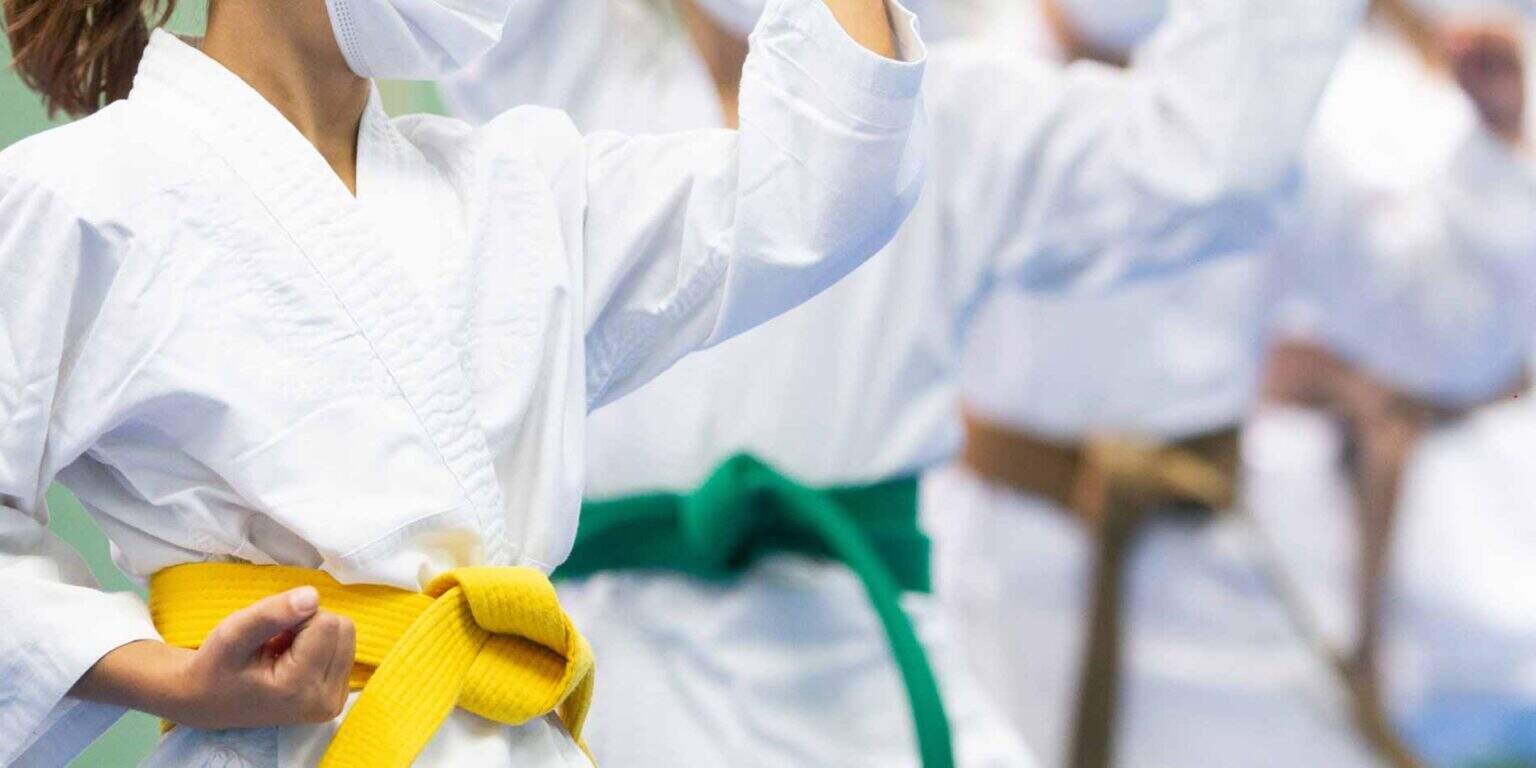 Olive-green belt in martial arts training with students in white karate uniforms performing a kata.