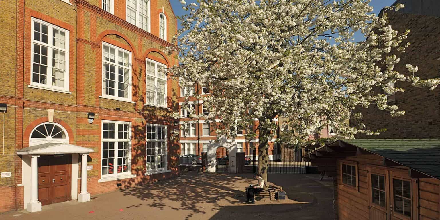 Historic school building with blooming tree in front, vibrant educational environment at World Schools.