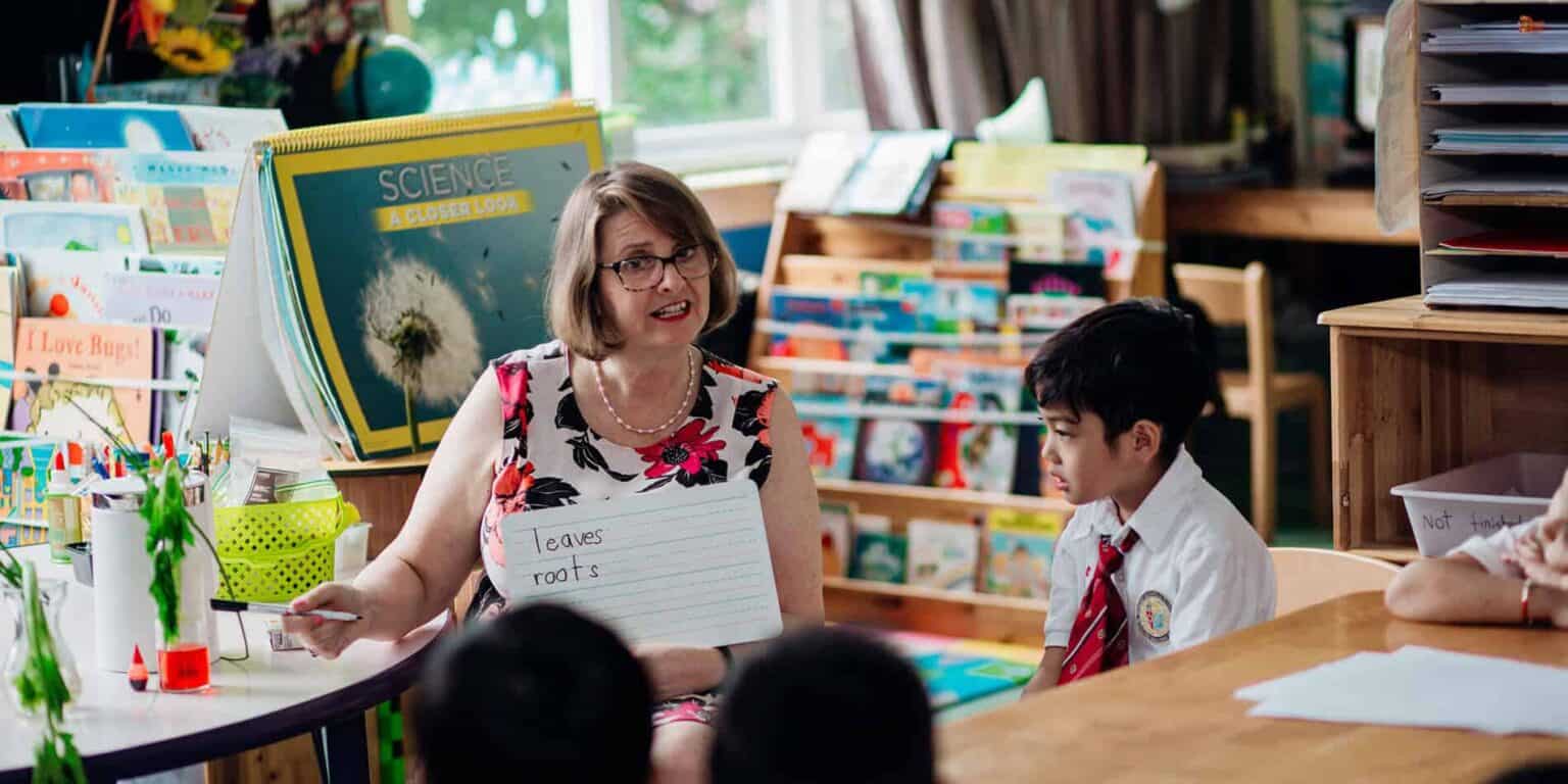 Engaging classroom at a world schools with passionate teacher and eager students studying science and literacy.