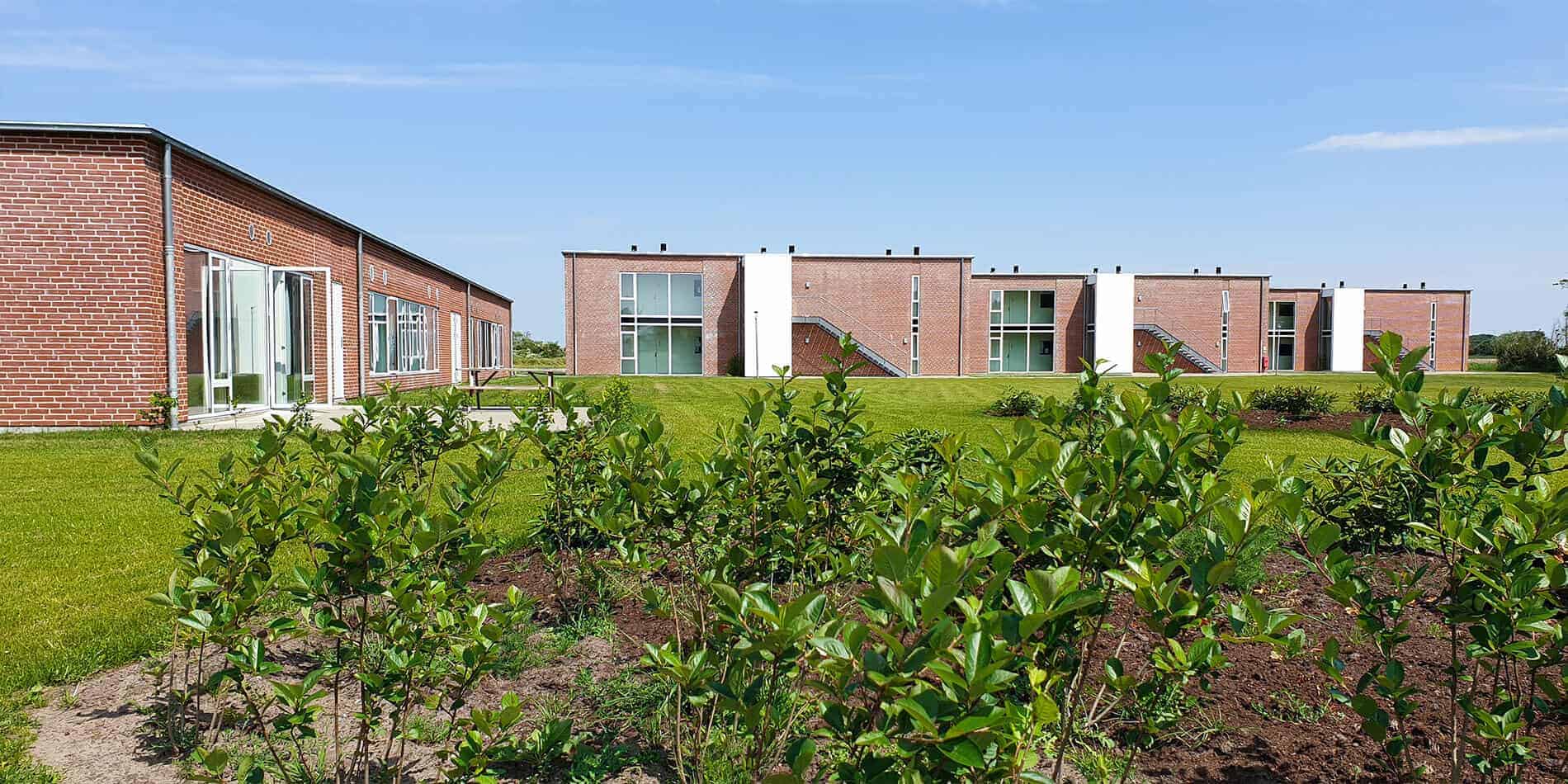 学校 9 WSgallery 国际丹麦 1