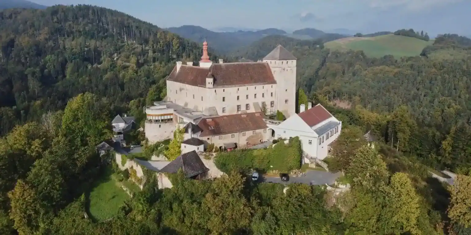 Aerial view of a historic castle surrounded by lush green forests in a rural landscape.