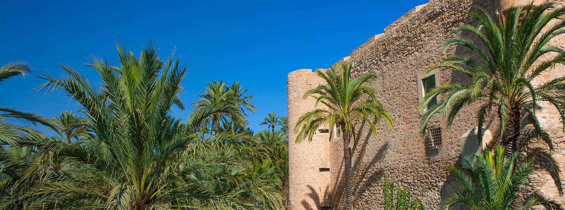 أفضل رياض الأطفال الدولية في إلتشي 2 أفضل رياض الأطفال الدولية في إلتشي