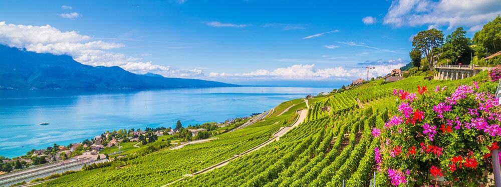 5 Reasons Why Swiss Boarding Schools are Great 2 Swiss Boarding Schools Good