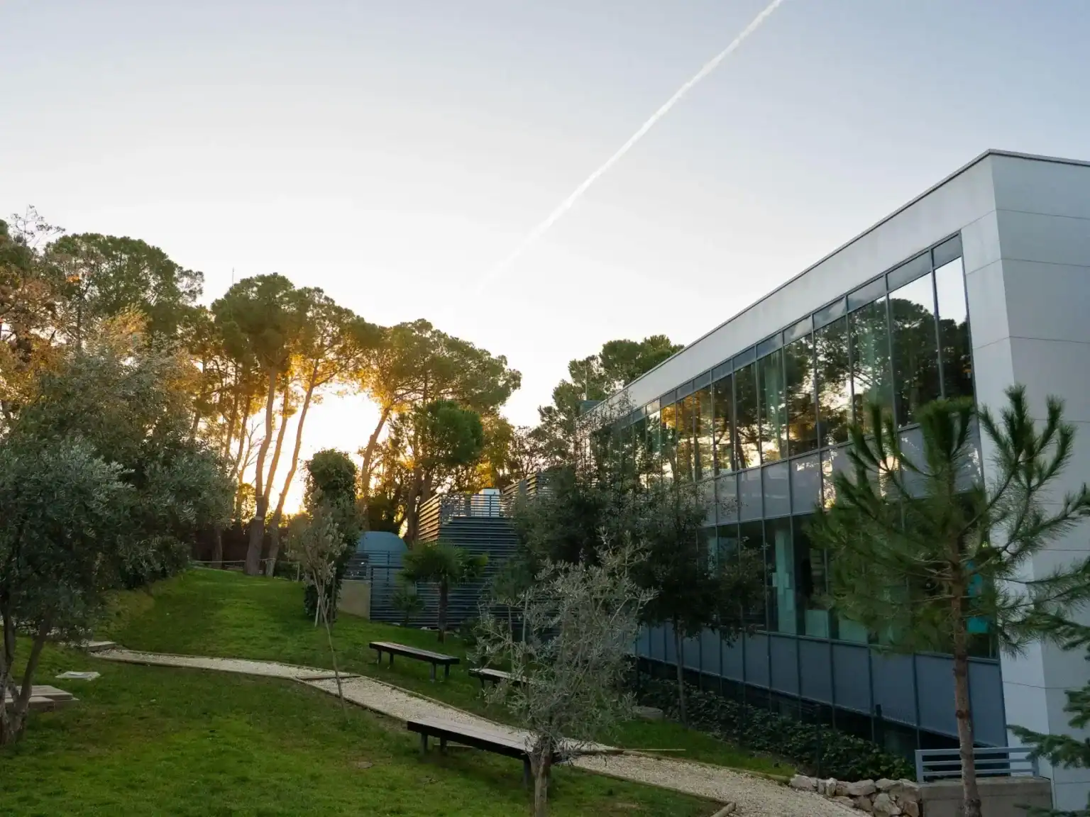 Modern school building with large glass windows and surrounding greenery.