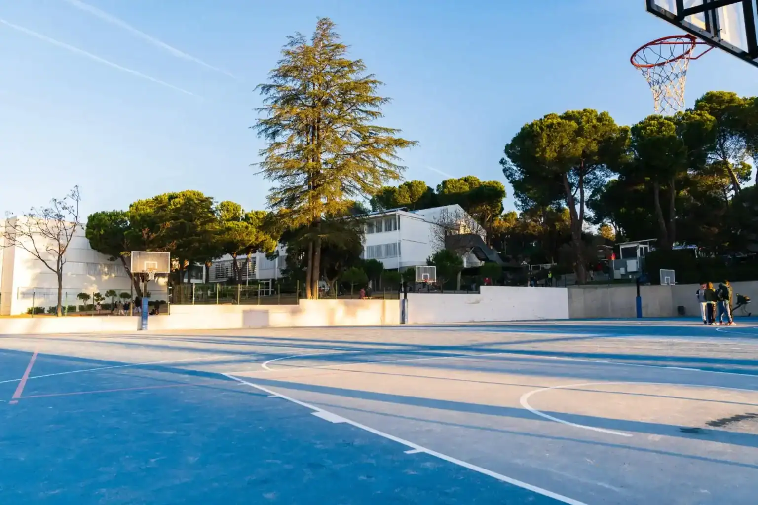 Basketball court at Liceo Europeo school with trees and students playing.