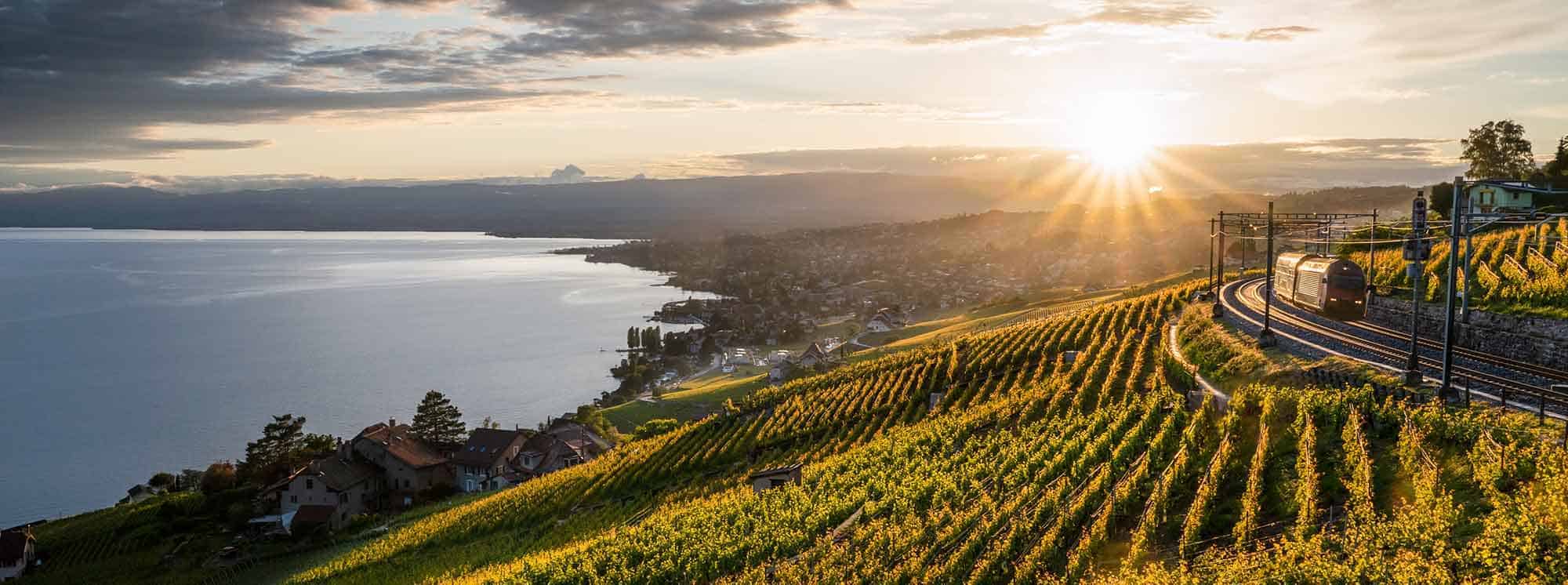 Meilleures écoles internationales à Pully 2 Meilleures écoles internationales à Pully