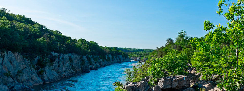 The Best Pre-schools in Stevenson 2 The Best Pre-schools in Stevenson