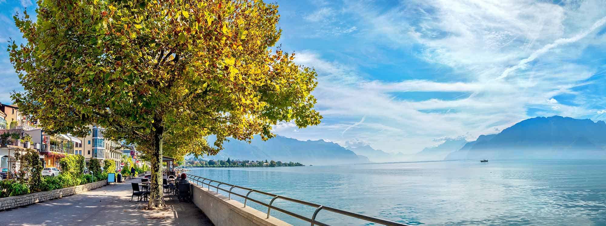 보주 최고의 이중언어 학교 2 보에 있는 최고의 이중 언어 학교