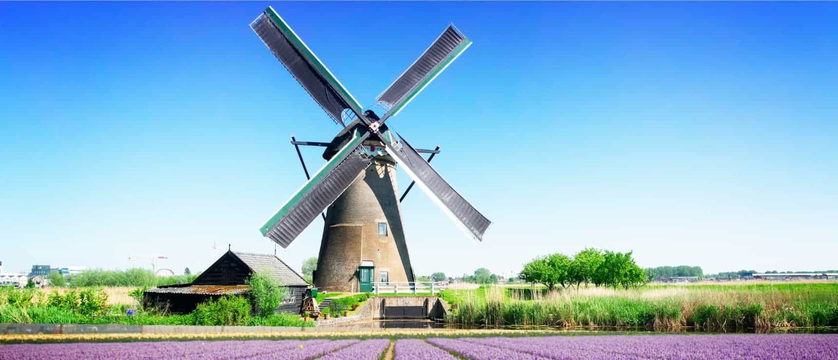 Top Online Schools in Amsterdam 2 Top Online Schools in Amsterdam