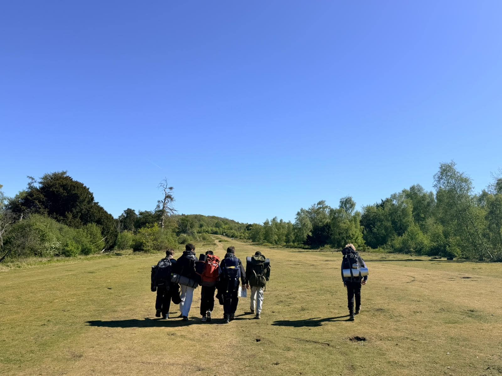 Group of students walking across a grassy field on a sunny day.