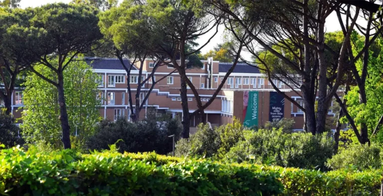 WSGallery-Acorn International School-Overview-3