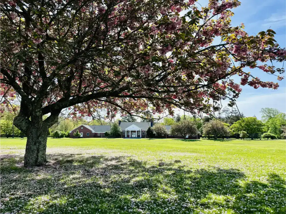 Школы 3 Международная школа WSGallery Harrow, Нью-Йорк, пансион 3