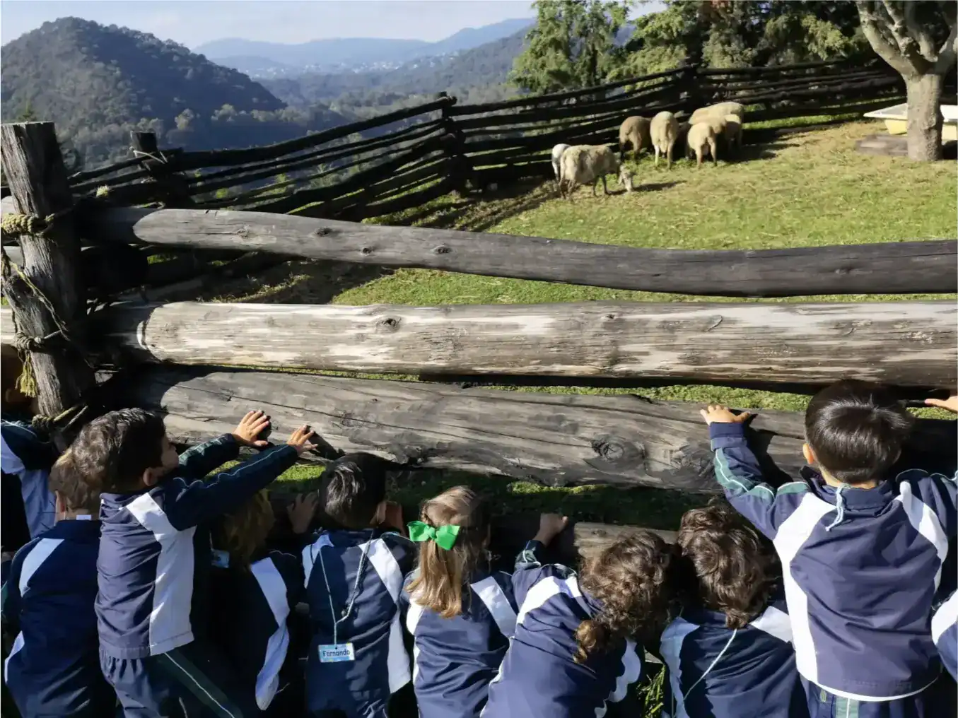 Children observing sheep on a farm during school field trip at a world school.