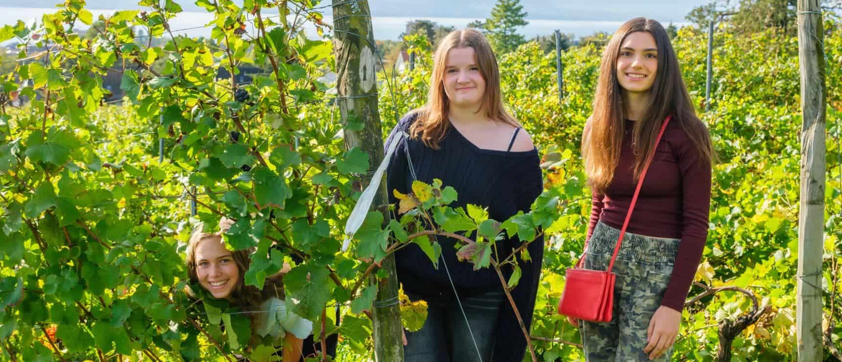 1. Girls exploring a vineyard at a worldwide school campus, educational outdoor activity.