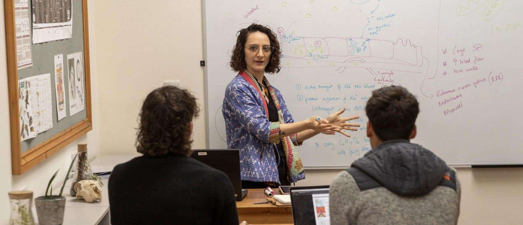 Innovative World Schools classroom promoting engaged learning and scientific exploration.