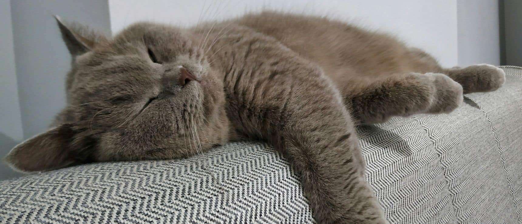 Why Sleep Matters: 7 Key Takeaways from Our Recent Webinar with Dr. Zenobia Zaiwalla