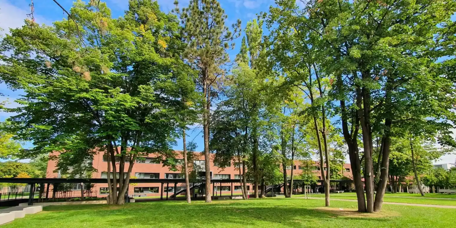 Frondosos árboles verdes y una zona de césped abierta rodean un moderno edificio escolar con un cielo azul.