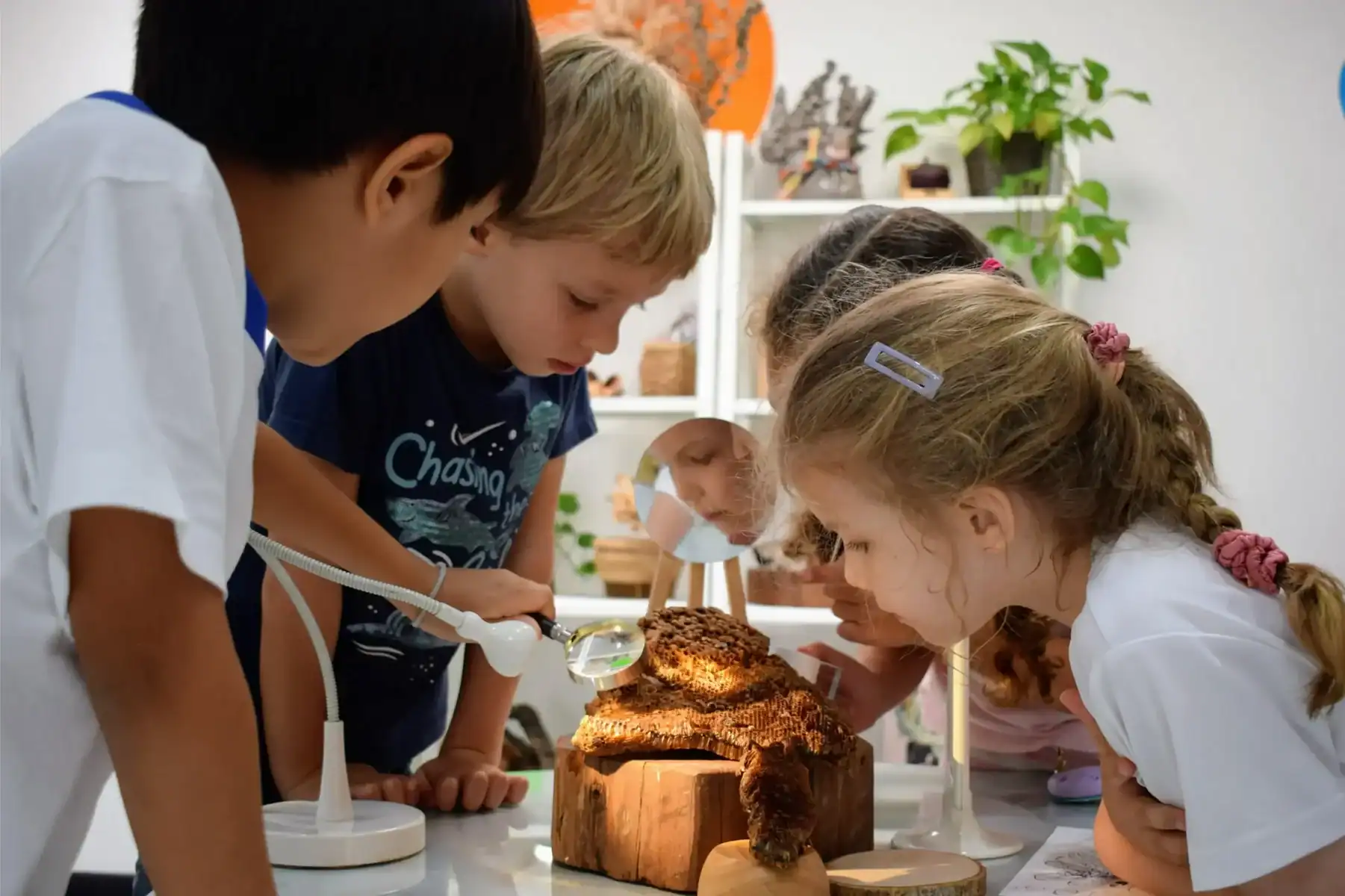 Children exploring and learning about a large mushroom in a classroom setting.
