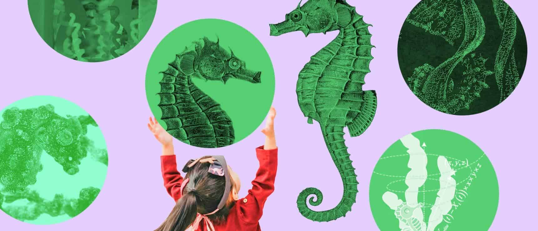 Why Interdisciplinary Learning Helps Kids Remember More (and Love Learning)