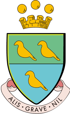 Clarence International School logo