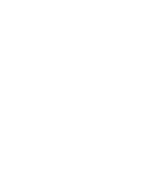 NUCB International Junior and Senior High School logo