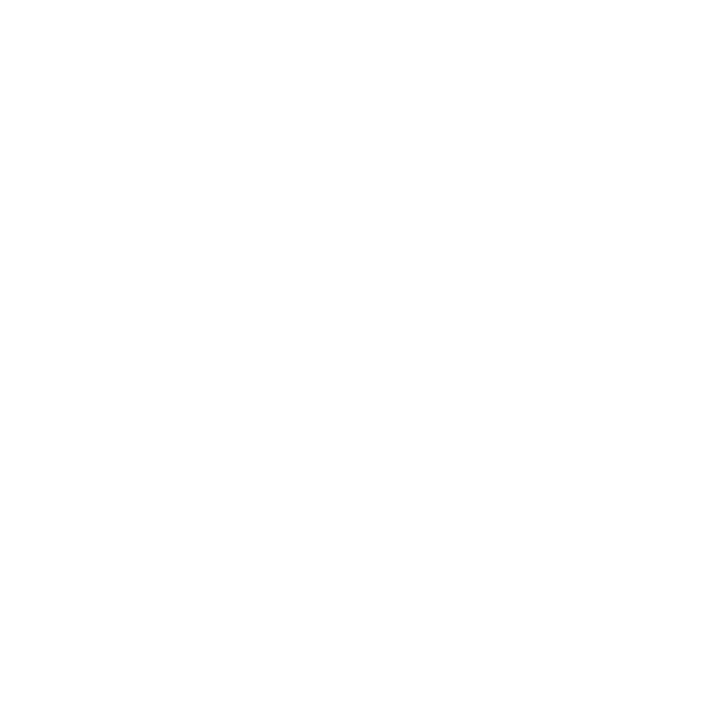 European School Copenhagen logo
