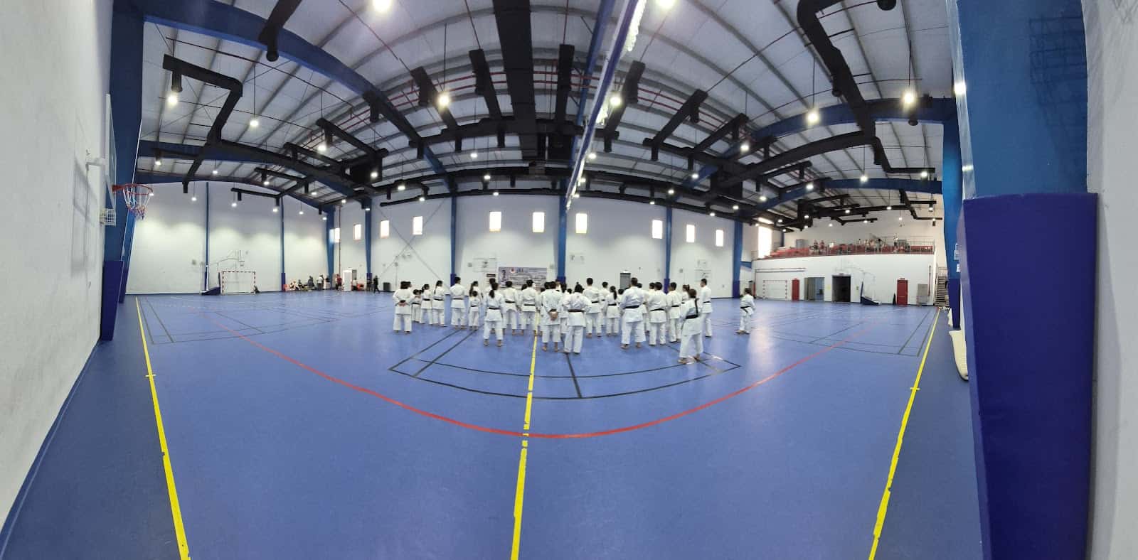 Escuelas 9 Lycee Francais Jean Mermoz Destacados