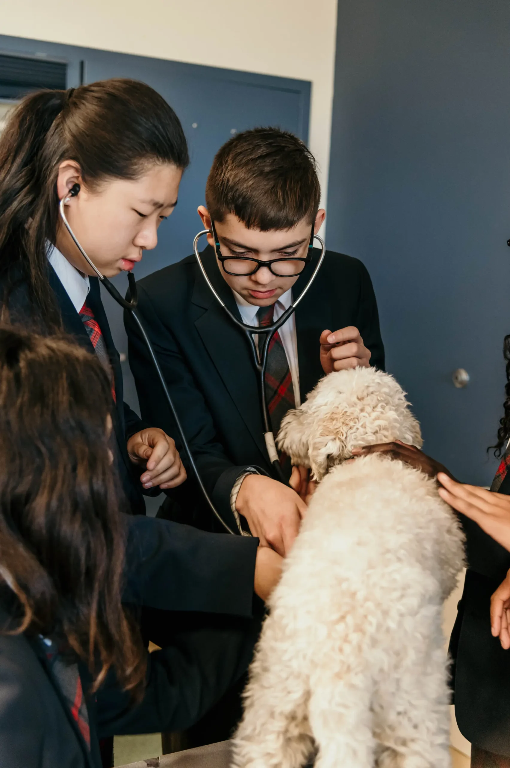 Calgary French & International School - Photo 2